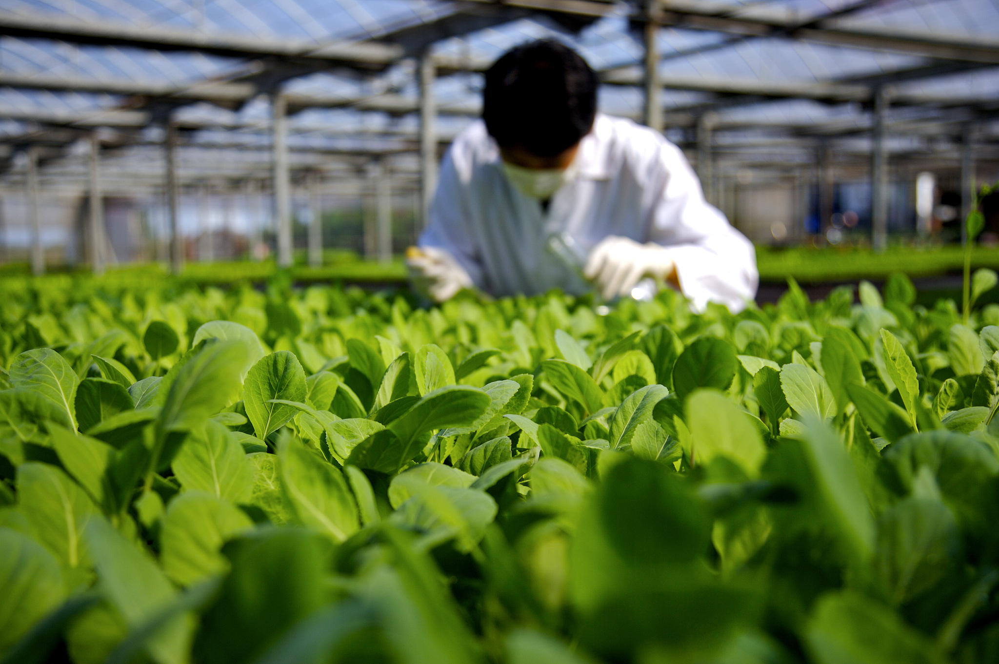 阿根廷在穗推介农业技术与农业投资 共话合作新机遇